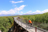 riding the viaduct