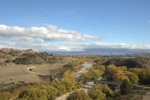 no2 bridge