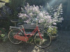 hartly arms bike