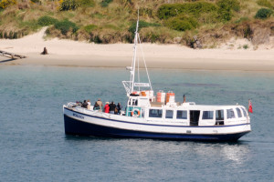 monerk boat dunedin