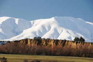 kyburn mt buster