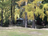 thumbnail img 0488