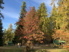 thumbnail img 0493