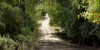 leading to the cottage