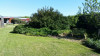 image (1)