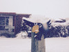 image (7)