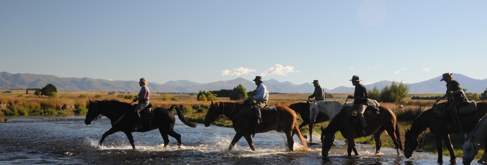 Horse closing the Taieri River   