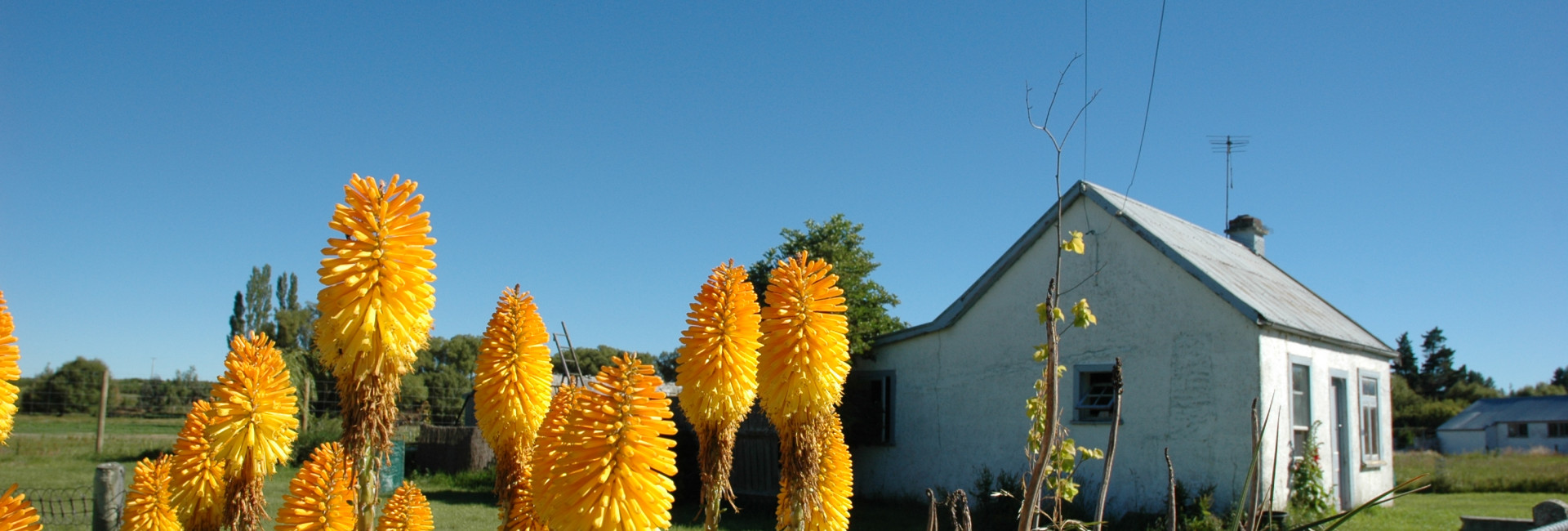 Waipiata main street   