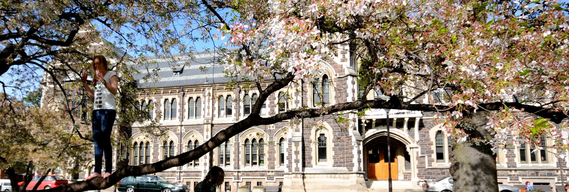 Otago University at lunch time