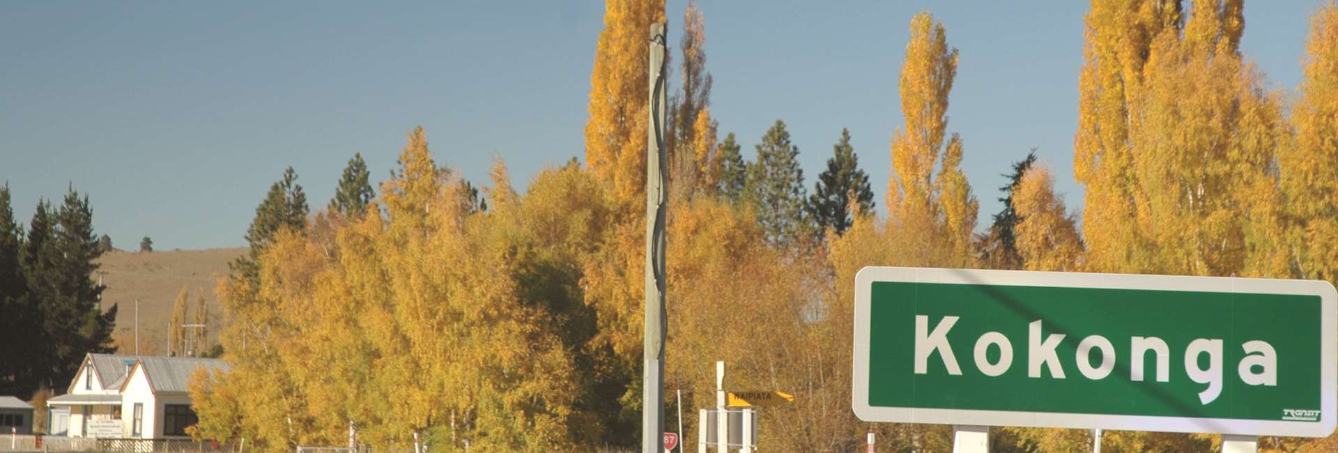 Autumn colours at Kokonga   