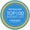top 100 logo