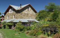 Oturehua - Otago Rail Trail